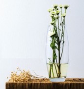 ���� Flora 26�� 43966