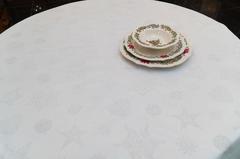 ���������� ���������� � ���������� ����������� ����� ������� 180�� FROPLLTMantel-D180DAC