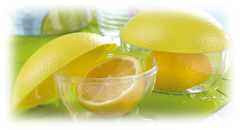 ��������� ��� ������ Fresh Savers 11,7�� SN000182