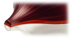 ��������� ��� ����� Fresh Savers 12,5�� SN000196