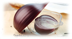 ��������� ��� ����� Fresh Savers 12,5�� SN000196