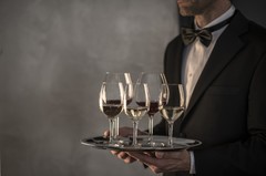 ���� ������� ��� ���� Banquet Burgundy 630�� 121590