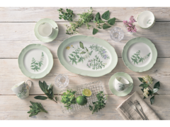 ����� ������� English Herbs 37�� 4942_413