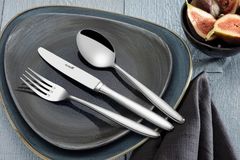 ��� ��� ������ Tulip 24�� 11TULI115