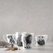 ������ Marini Ferlazzo Cockatoo 460�� DX0517