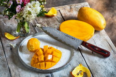 ͳ� ������� KAIJU 18�� SKJ-0095