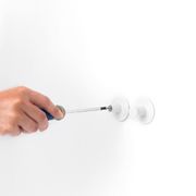 ���� ����� ��� ������� ReNew 280344