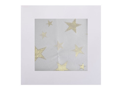 ���������� � ������� �������� ǳ��� 100�100�� 812-054