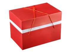 ���������� ����������� ������ ���� 25�� 101-656