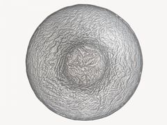 �������� ������ 16�� 39-029