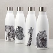 ������������ Marini Ferlazzo Koala 500�� JR0013