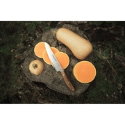 ��� ��������� Nordika 16�� 165900