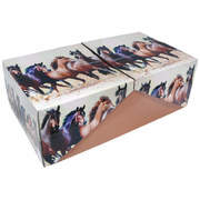 ���� ����� ���� 300�� 211-1005