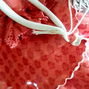 ��������� ���� �� ���� 20�12�10�� 517-0090