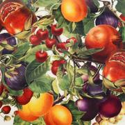 ����� ������� Le Primizie 50�35�� 52172