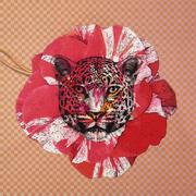 ϳ���� �� ������� Ete Savage 49�36�� 36986