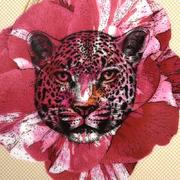 ����� ������� Ete Savage 41�27�� 37009