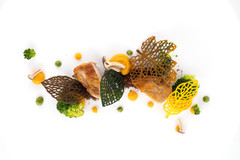 ����� ��� ������� �������� 470x270�� BOSCO