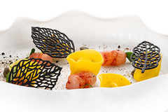 ����� ��� �������� �������� 470x270�� FORESTA