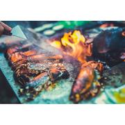 �����-����� � ��������������� Quadro ���������� 240�100x95�� QN91069