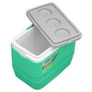 ����������� ��������� Eskimo 10� 8906053369526TURQUOISE