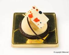 ����� ��� ������� SiliconFlex  ��������� 2  SF005/C