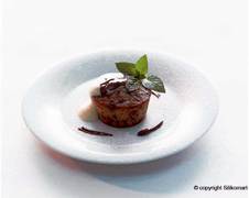 ����� ��� �������� SiliconFlex SF024/C