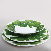 ������� �������� Cactus 23�� 5-5-1