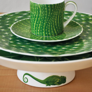 ������� �������� Cactus 23�� 5-5-1