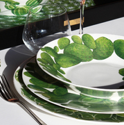 ������ ��� ���� Cactus 24,5�� 5-5-5