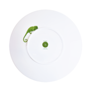 ����� ������� Cactus 31�� 5-5-6