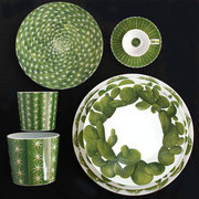 ����� ��� ��� � ������� Cactus 230�� 5-5-2