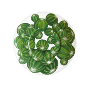 ����� ��� ��� � ������� Cactus 230�� 5-5-2