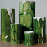 ���� Erbe 14�� 7-1-1