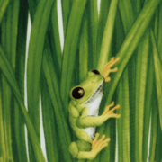 ���� Erbe 14�� 7-1-1