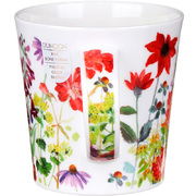 ������ Cairngorm ������ border red 480�� 111001270