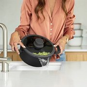 ������ Leo Stone 20�� 3950322