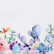 �������� � ���������� ��������� ������������ ���� 160�300�� CactSaTeMantel-160x300DAC