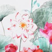 ���������� � ���������� ����������� ���� �� ��� 160�240�� NenuSaTeMantel-160x240DAC