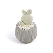 ����������� � ������ ������� Aroma Garden ������� ���� 100�� 18587-RUGIADA