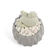 ����������� � ������ ������� Aroma Garden ������� ���� 100�� 18587-RUGIADA