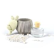 ����������� � ������ ������� Aroma Garden ������� ���� 100�� 18587-RUGIADA