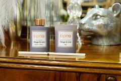 ����� ����� Cipria ������ � ���� 130�� 17105-GingerLime