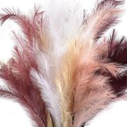 ����� ������������ ��������� ����� 100�� 250849