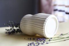 ���� Cactus white 13,5��