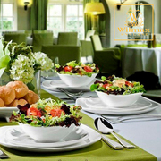 ������� ��������� ���������� 20�� WL-991001