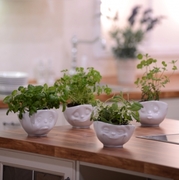 ϳ��� ����� 16,6�� TASS10501/TA