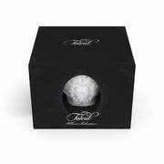 ����� ��� ��� � ������� Ludwig van Beethoven 260�� TASS800101/TR