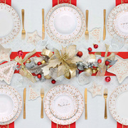 ����� �������� New Year Christmas Lights 21�16�� R1325#CHLI