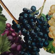 ���������� Vigna Digital 140�320�� 78087-VIGNA-140x320